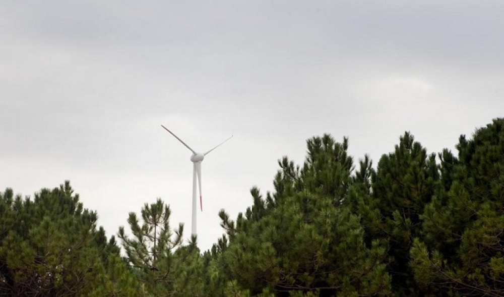 Otay: Ortadoğu için petrol neyse Türkiye için de rüzgar o!