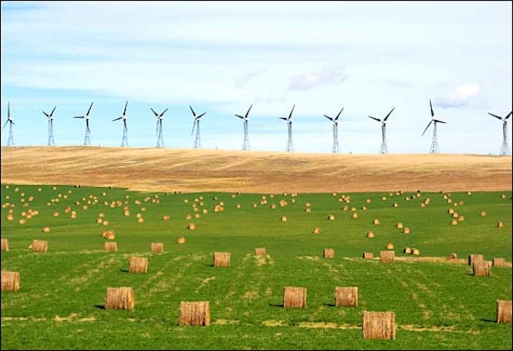 İsveç yenilenebilirde erken yol alacak