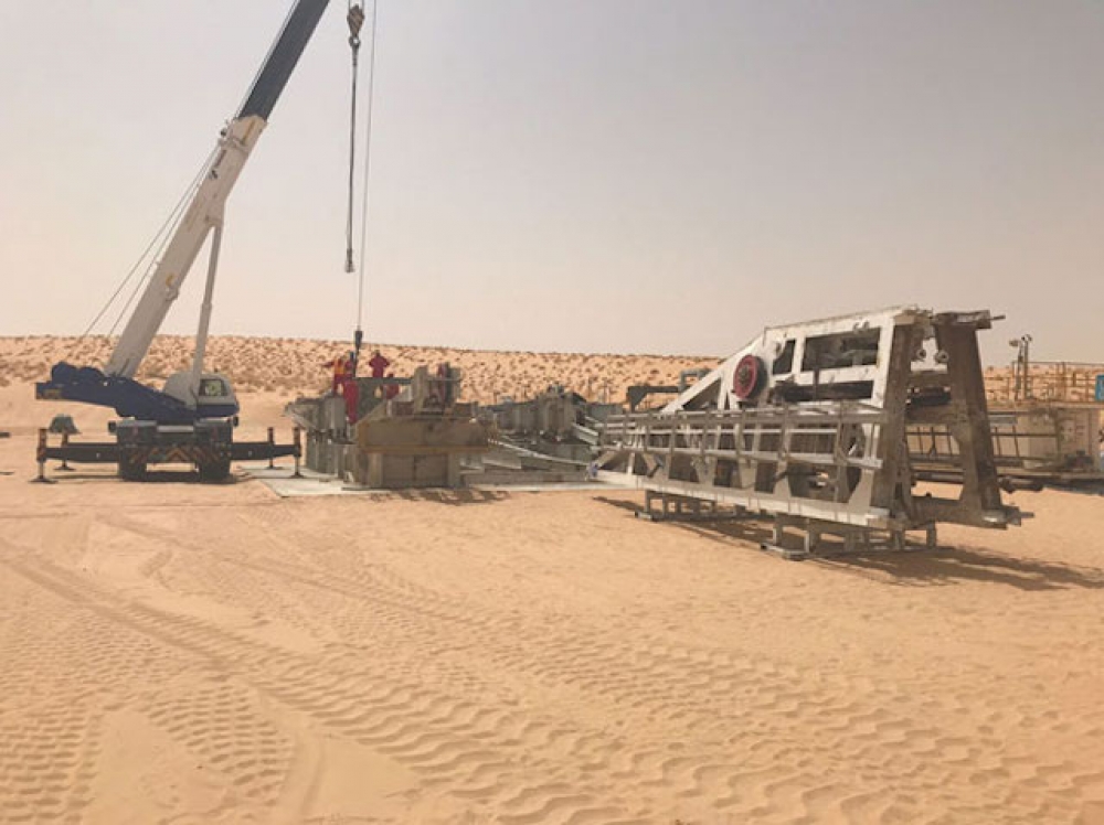 İngiliz Savannah Nijer’de petrol keşfetti