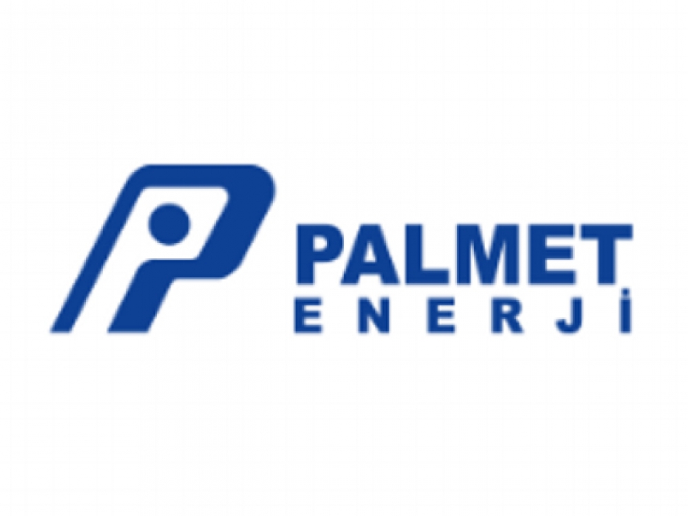 Palmet Enerji 2.354.000 lira faiz ödedi