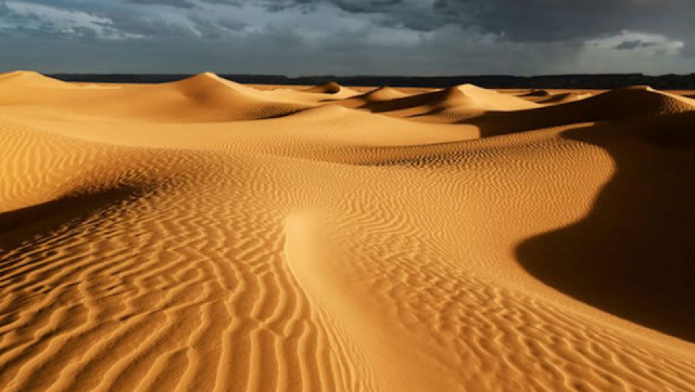 Rüzgar ve güneş enerjisi Sahra çölünü yeşillendirebilir