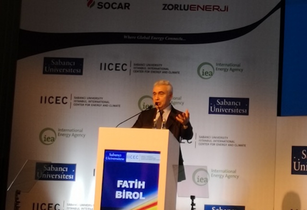 Birol: Enerjinin kör noktalarından biri petrokimya