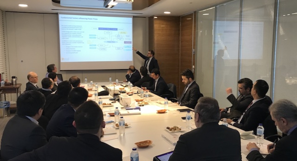 Özbekistan Türkiye elektrik özelleştirme deneyimlerinden yararlanacak