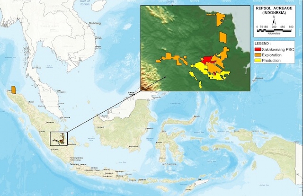 Repsol Endonezya’da dev gaz sahası keşfetti