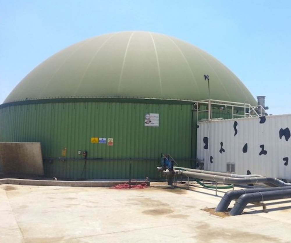 Çin kömür yerine biyogaz kullanacak