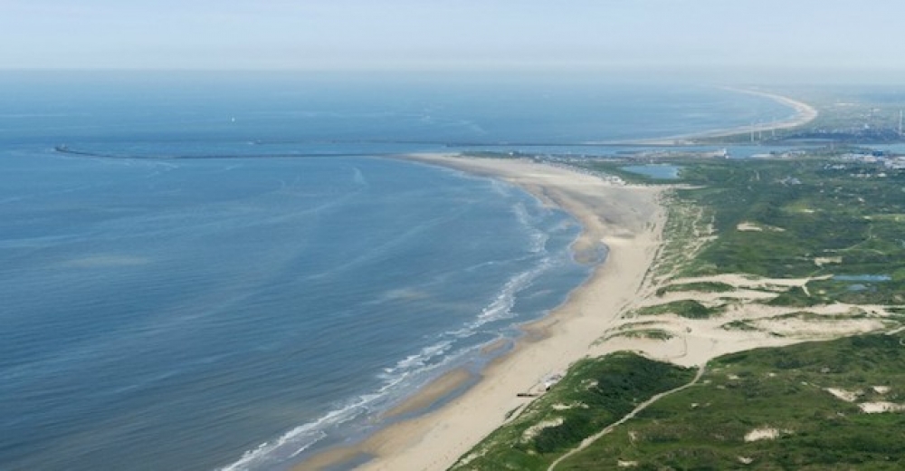 Witwind Konsorsiyumu Hollanda sularında RES kuracak