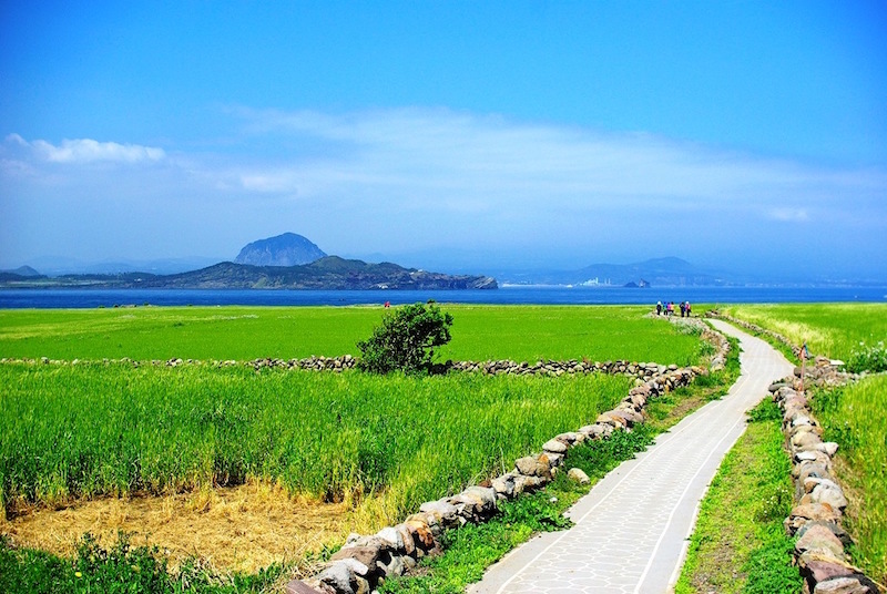 Dünyanın ilk sıfır karbon salan adası Kore'de
