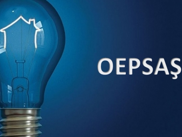 OEPSAŞ bundan böyle Zorlu Enerji adıyla çalışacak