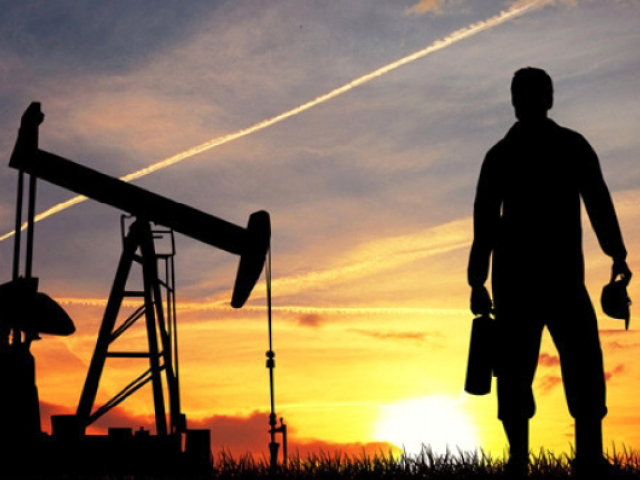 Turcas bağımsız yönetim kurulu üyeliğine Lale Ergin atandı