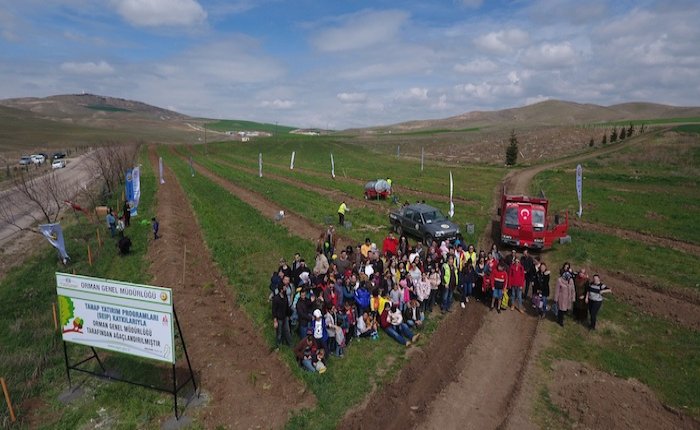 TANAP’tan Ankara’ya 50 bin ağaç