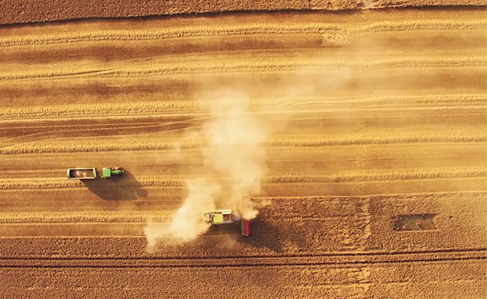Sırp MK Group biyokütle santrali kuracak