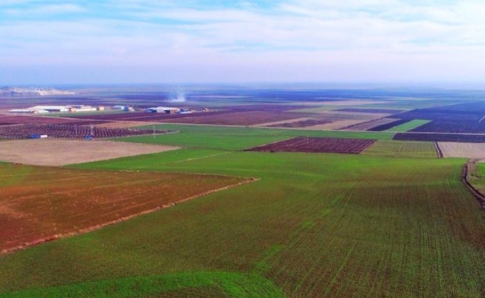 Alpu’daki kömür sahası ihalesi iptal edildi