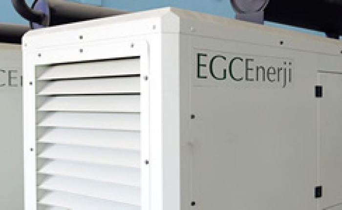EGC Enerji Efe Jeneratör ile birleşti