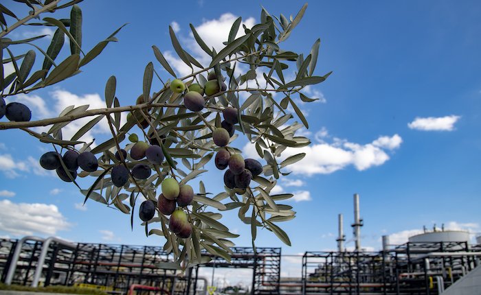 Tüpraş’ın ortak olduğu petrokimya projesine destek