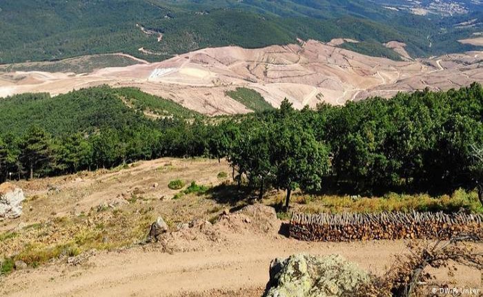 TEMA Vakfı: Kirazlı Altın Madeni için en az 195 bin ağaç kesildi