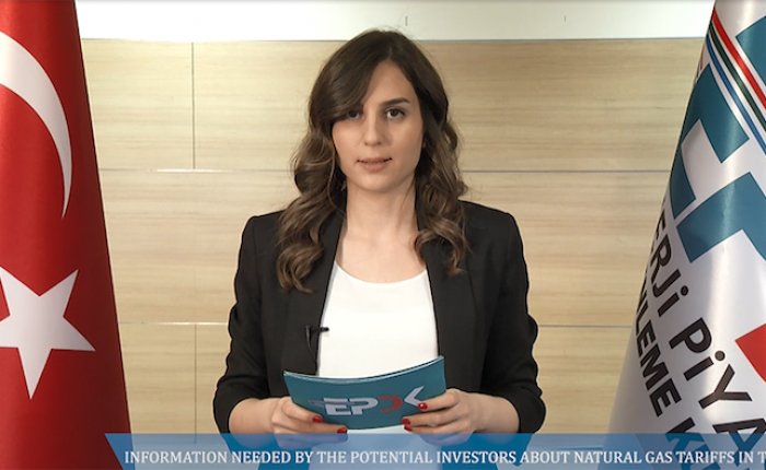 EPDK yabancı yatırımcılara yol gösteriyor