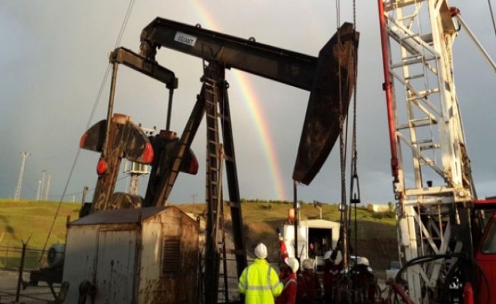 3 şirketin Edirne’deki ortak ruhsatına 8 yıl süre uzatımı