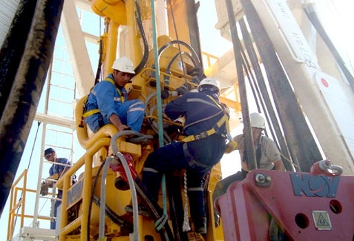 TPAO`ya üç yeni petrol işletme ruhsatı