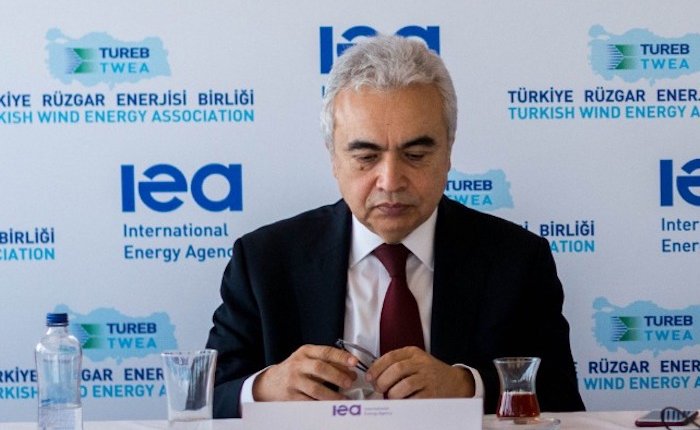 Birol: Yenilenebilir enerjiye teşvik tamamen yok olmamalı