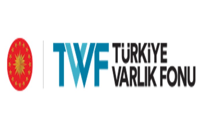 Çin’den Türkiye Varlık Fonu’nun enerji yatırımlarına destek