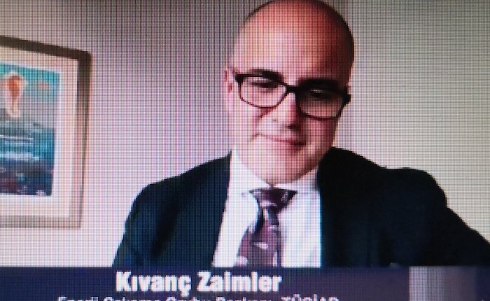 Zaimler: YEKDEM maliyeti aylık değil uzun vadeli ele alınmalı