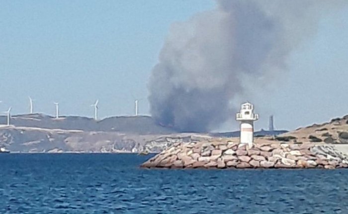 Petkim yakınlarında orman yangını