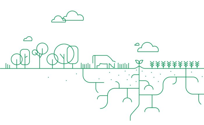 Shell’den Avustralya çalışmalarında karbon salımını azaltacak adım