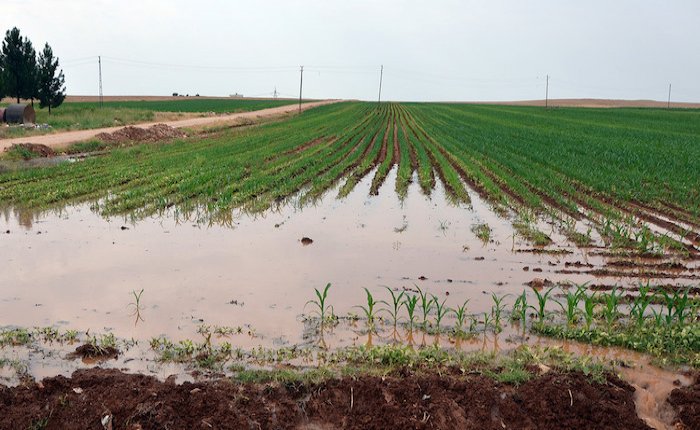 Tarımda doğru sulama enerji faturasını yarı yarıya düşürüyor