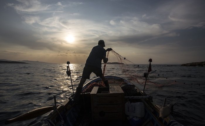 Akdeniz’in hassas deniz canlıları için Tunus, Fas ve Türkiye bir arada!