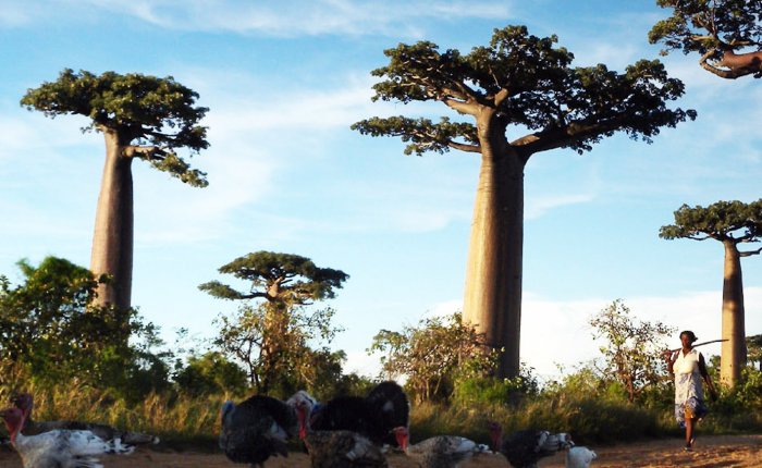 Hint Okyanusu’nda enerji politikaları ve kadınlar