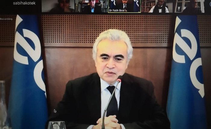 Birol: Yenilenebilir enerjinin Covid bağışıklığı var