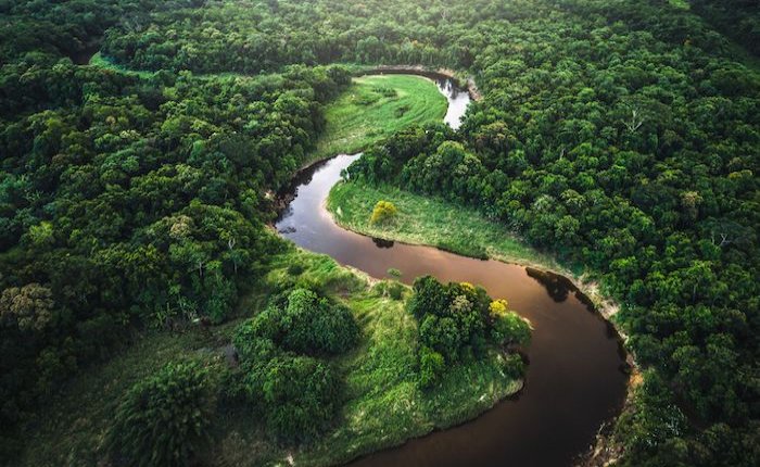 ABD’de ormanlık alanlar tehlikede