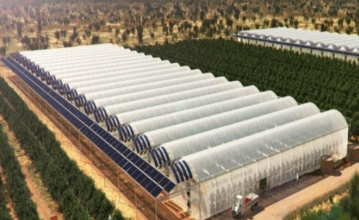 Bafra Sera İhtisas OSB elektrik dağıtım şebekesi yaptıracak