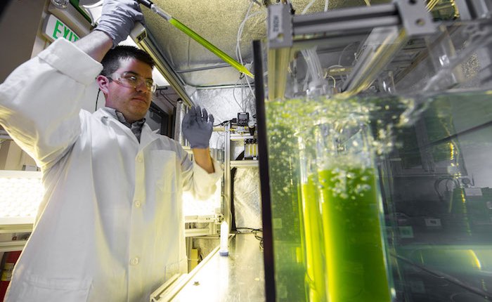 BioLPG’li hibrit araçlar çevreci geçiş seçeneği olabilir