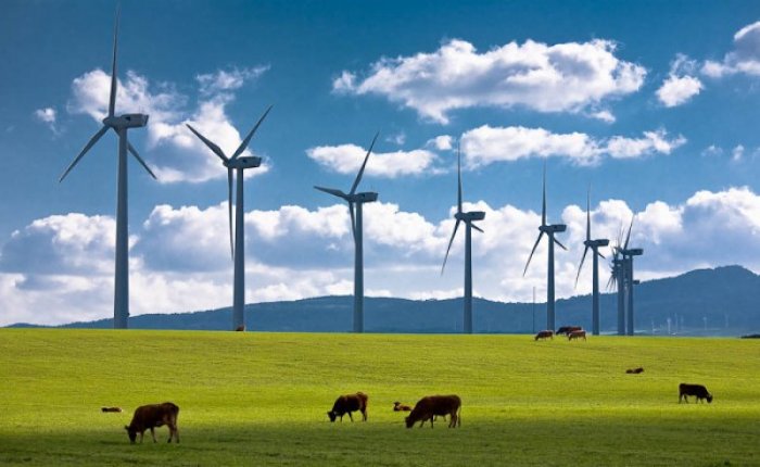 GWEC: Küresel rüzgar kurulumları üç kat artmalı
