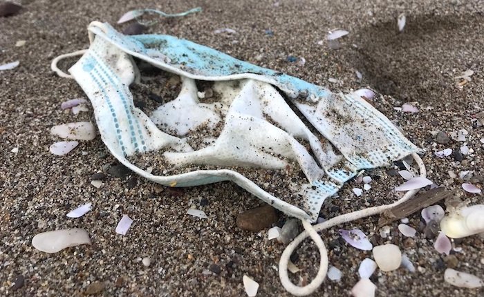 Türkiye’nin Doğu Akdeniz kıyılarında plastik kirliliği alarm veriyor