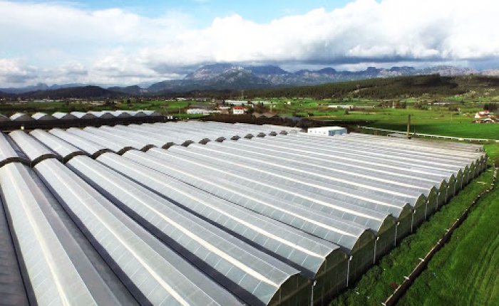 Zonguldak Sera İhtisas OSB dağıtım şebekesi yaptıracak