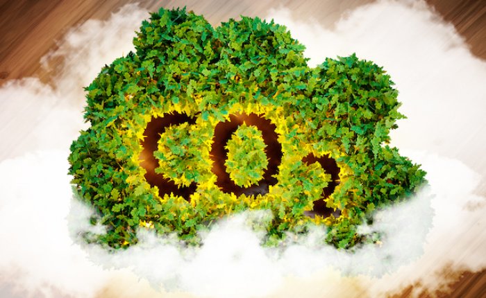 AB, ücretsiz karbon izinlerini 2035'te sonlandırmayı planlıyor