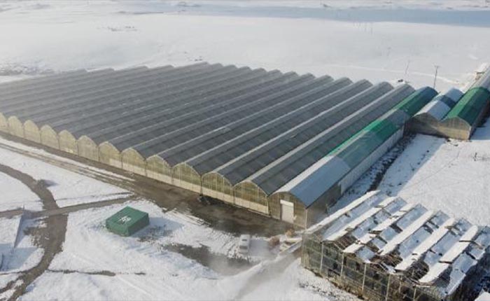 Diyadin Tarımsal OSB için ısıtma ve dağıtım şebekesi yapılacak