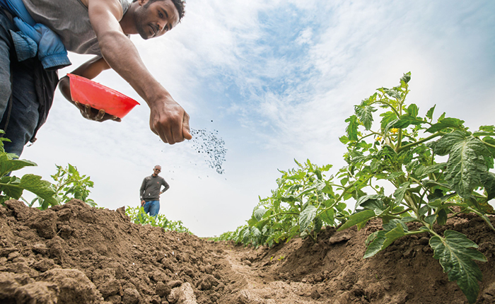Enerji fiyatlarındaki artış gıda üretimini vuruyor