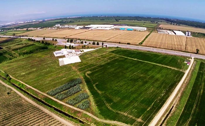 Aksa Tarım Tekirdağ ve Samsun çiftliklerine GES kuracak