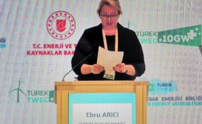 Arıcı: Rüzgarda yılda 1000 MW kapasite açıklaması yetmez