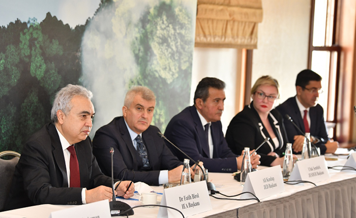 Fatih Birol: Dünyada yeni bir enerji sistemi oluşuyor