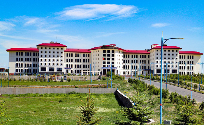 Ardahan Üniversitesi elektrik doçenti arıyor