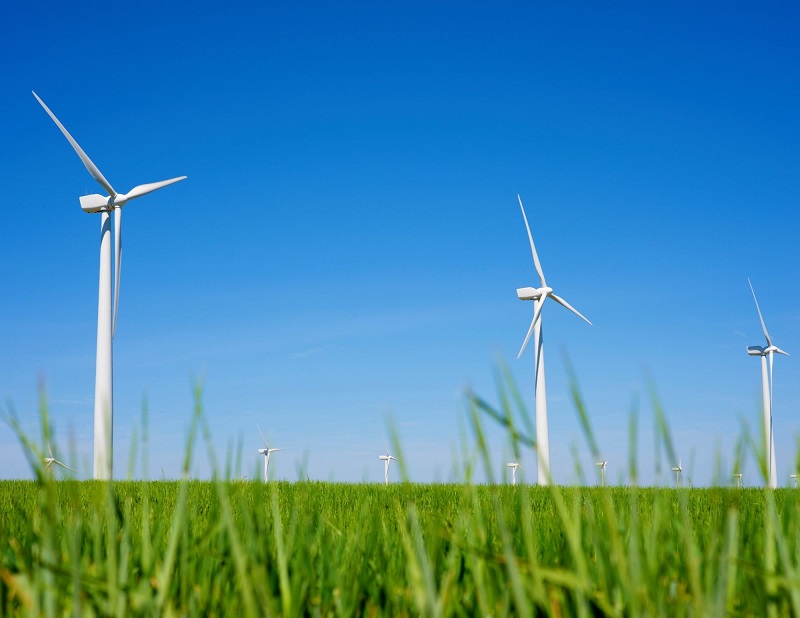 ÇED Başkanı Şallı: Enerji açığını rüzgar ırmakları kapatabilir
