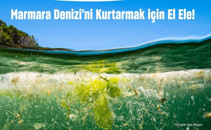 Marmara Denizi’nin kurtarılması için çağrı
