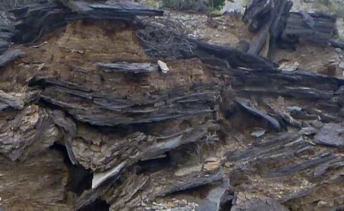 TKİ, Bolu’da bitümlü şeyl üretecek