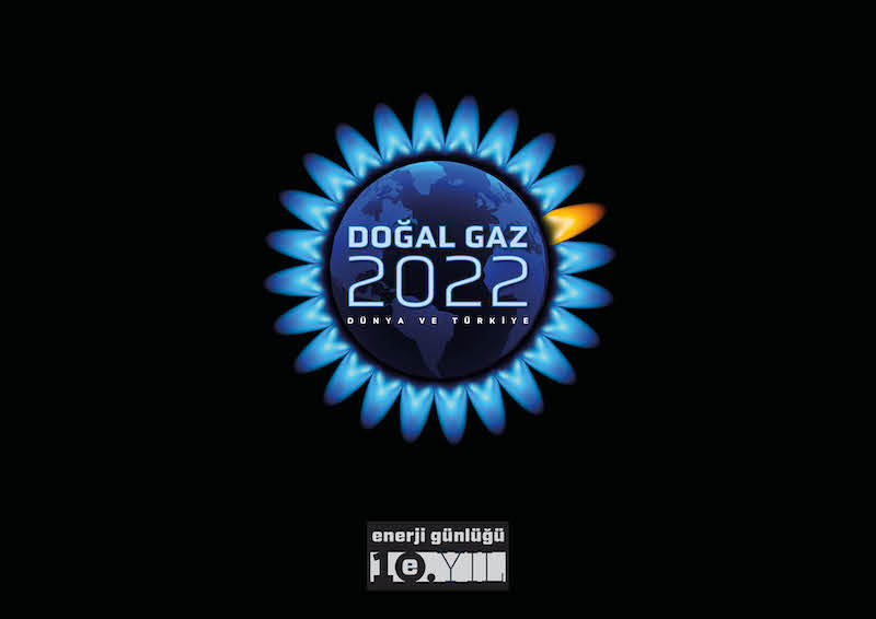 DÜNYADA VE TÜRKİYE'DE DOĞALGAZ raporunu indirin!