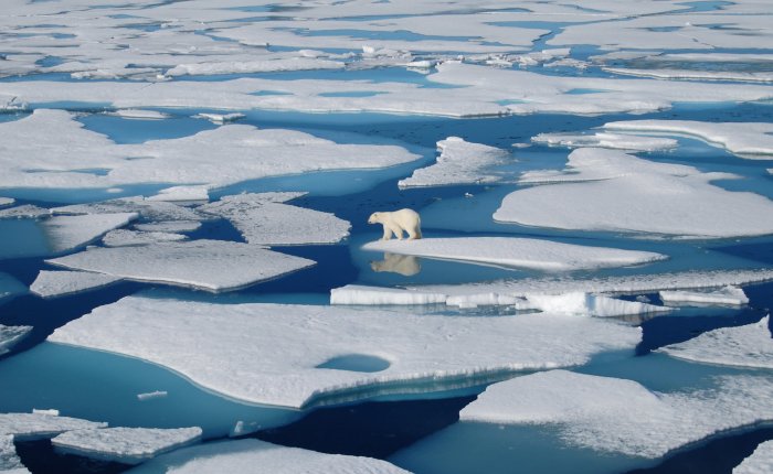 Rosatom Kuzey Kutbu sularının güvenliği için harekete geçti