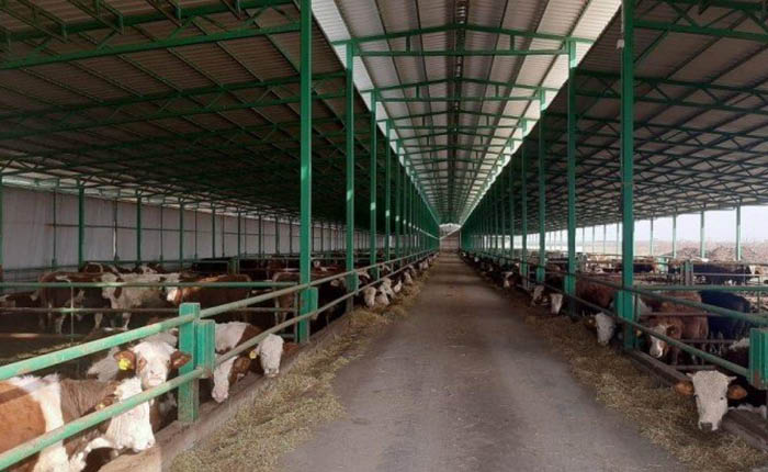 Yazıhan Tarımsal OSB elektrik şebekesi yaptıracak